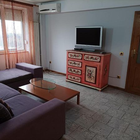 Appartement Libelula à Arad Extérieur photo